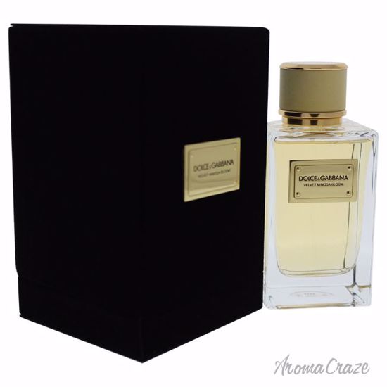 Dolce & Gabbana Velvet Mimosa Bloom EDP Spray for Women 5 oz