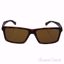 Arnette AN 4208 2152/83 Biscuit - Fuzzy Havana/Brown Polariz