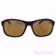 Arnette AN 4209 2273/7D Uncorked - Fuzzy Black/Bronze by Arn