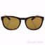 Arnette AN 4219 2087/83 Pleasantville - Gloss Havana/Brown P