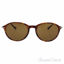 Persol PO3125S 24/57- Havana/Brown Polarized by Persol for M
