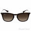 Ray Ban RB 4221 865/13 - Tortoise Gunmetal/Brown Gradient by
